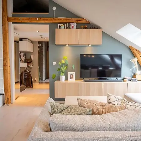 Apartment Penthouse With Private Terrace Oslo
