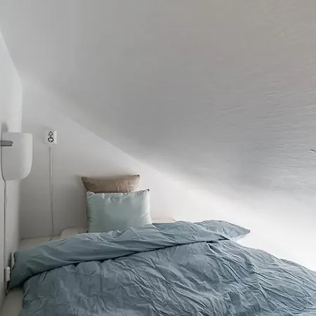 Penthouse With Private Terrace Apartment
