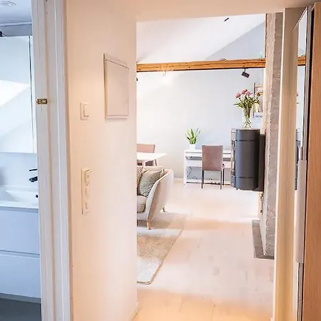 Apartment Penthouse With Private Terrace *